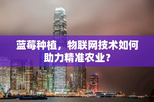 蓝莓种植，物联网技术如何助力精准农业？