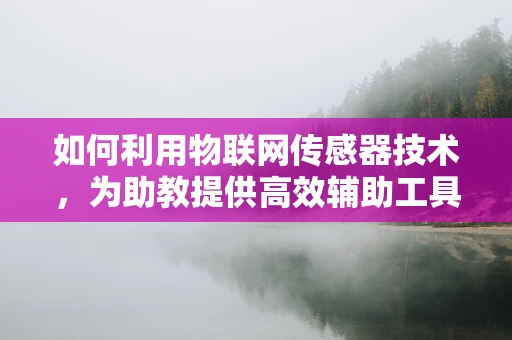 如何利用物联网传感器技术，为助教提供高效辅助工具？