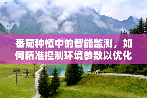 番茄种植中的智能监测，如何精准控制环境参数以优化生长？
