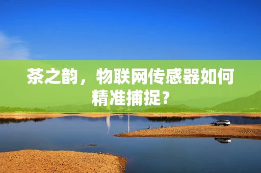 茶之韵，物联网传感器如何精准捕捉？