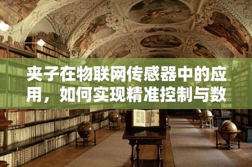 夹子在物联网传感器中的应用，如何实现精准控制与数据采集？
