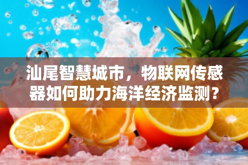 汕尾智慧城市，物联网传感器如何助力海洋经济监测？
