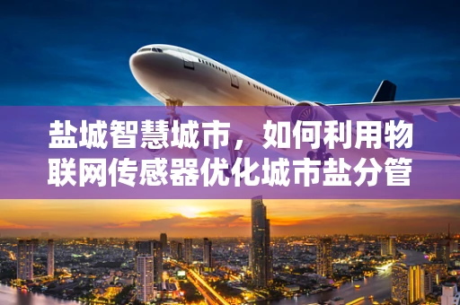 盐城智慧城市，如何利用物联网传感器优化城市盐分管理？