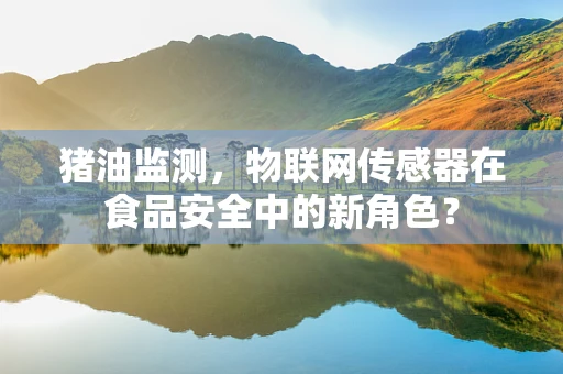 猪油监测，物联网传感器在食品安全中的新角色？
