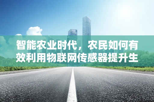 智能农业时代，农民如何有效利用物联网传感器提升生产效率？