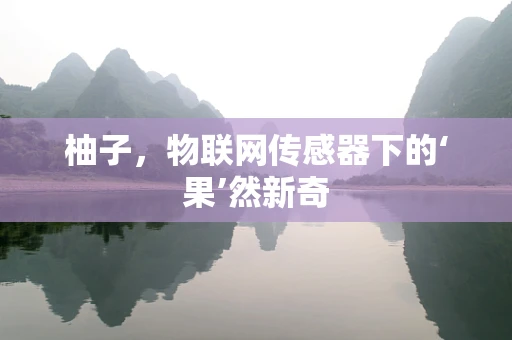 柚子，物联网传感器下的‘果’然新奇