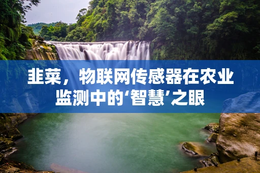 韭菜，物联网传感器在农业监测中的‘智慧’之眼