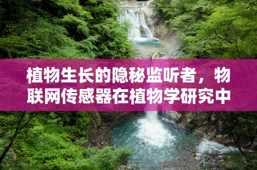 植物生长的隐秘监听者，物联网传感器在植物学研究中的应用与挑战？