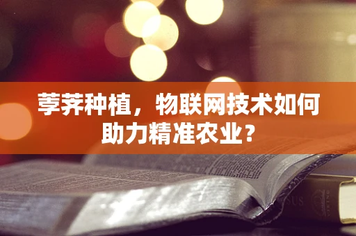 荸荠种植，物联网技术如何助力精准农业？