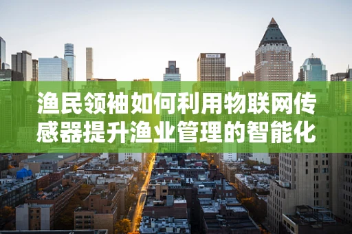 渔民领袖如何利用物联网传感器提升渔业管理的智能化水平？