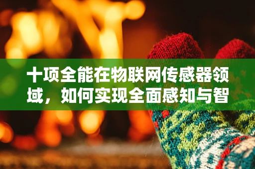 十项全能在物联网传感器领域，如何实现全面感知与智能融合？