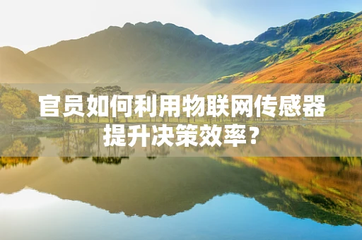 官员如何利用物联网传感器提升决策效率？