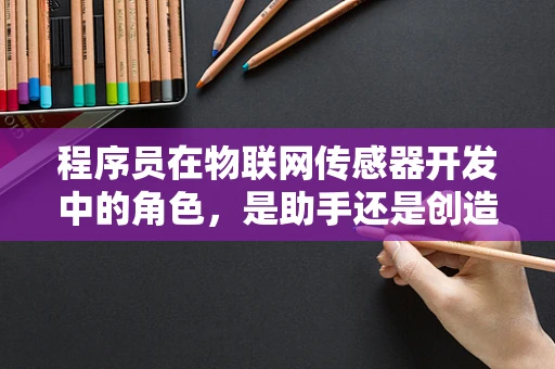程序员在物联网传感器开发中的角色，是助手还是创造者？