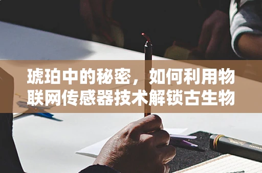 琥珀中的秘密，如何利用物联网传感器技术解锁古生物的‘数字档案’？