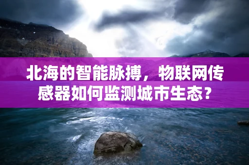 北海的智能脉搏，物联网传感器如何监测城市生态？