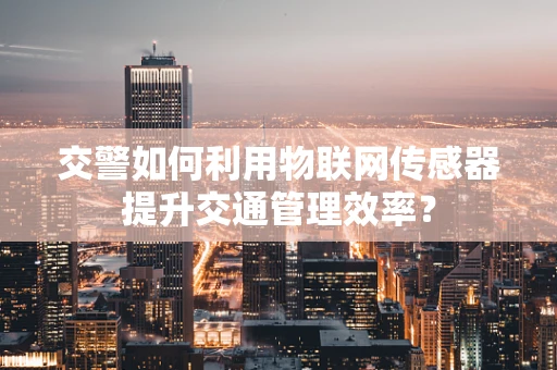 交警如何利用物联网传感器提升交通管理效率？