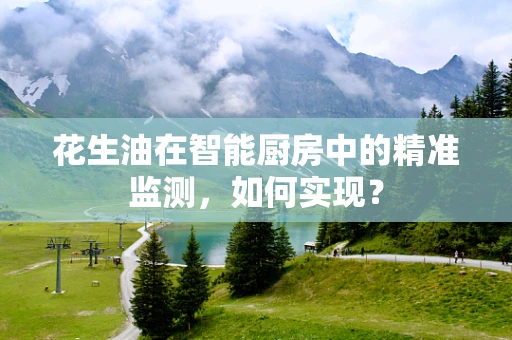 花生油在智能厨房中的精准监测，如何实现？