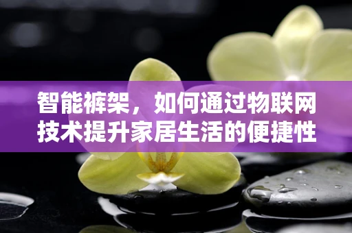 智能裤架，如何通过物联网技术提升家居生活的便捷性？