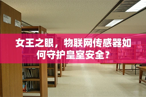 女王之眼，物联网传感器如何守护皇室安全？