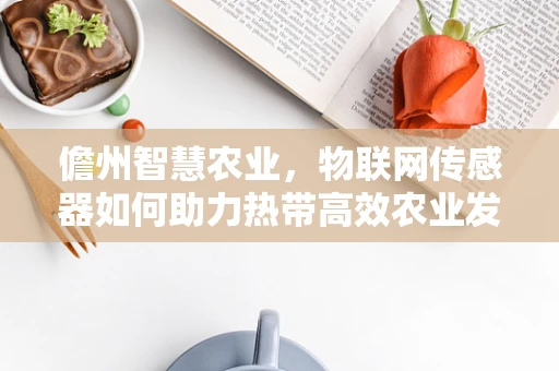 儋州智慧农业，物联网传感器如何助力热带高效农业发展？