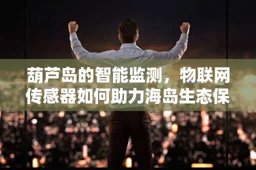 葫芦岛的智能监测，物联网传感器如何助力海岛生态保护？