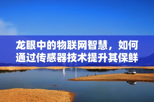 龙眼中的物联网智慧，如何通过传感器技术提升其保鲜与监控？