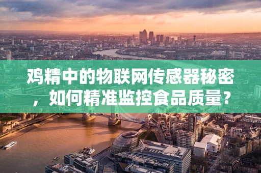 鸡精中的物联网传感器秘密，如何精准监控食品质量？