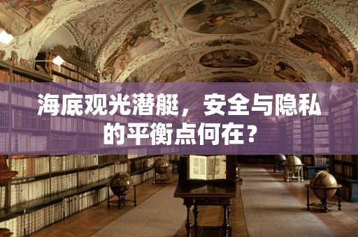 海底观光潜艇，安全与隐私的平衡点何在？