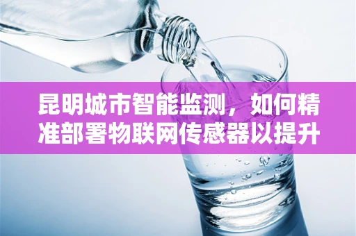 昆明城市智能监测，如何精准部署物联网传感器以提升环境与安全监测效率？