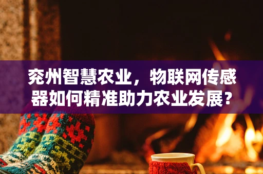 兖州智慧农业，物联网传感器如何精准助力农业发展？