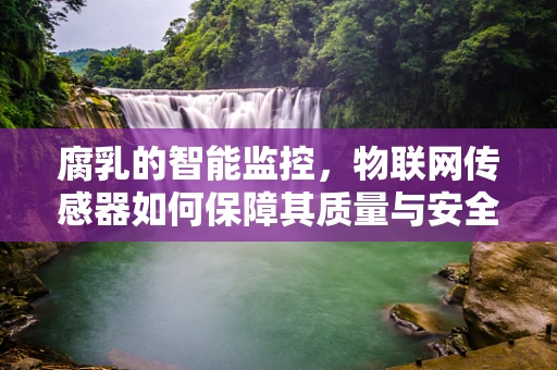 腐乳的智能监控，物联网传感器如何保障其质量与安全？