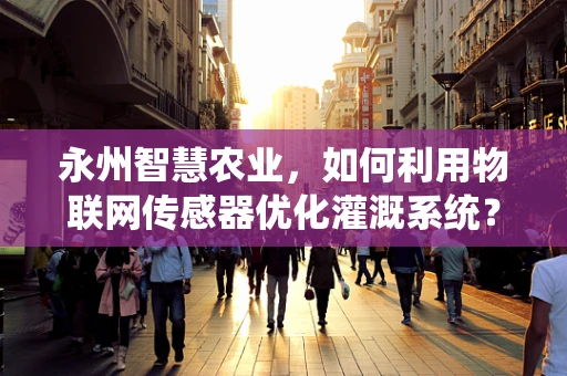 永州智慧农业，如何利用物联网传感器优化灌溉系统？