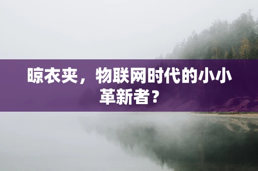 晾衣夹，物联网时代的小小革新者？