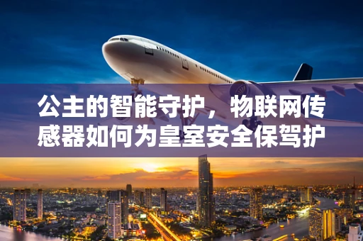 公主的智能守护，物联网传感器如何为皇室安全保驾护航？
