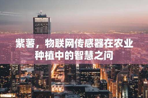 紫薯，物联网传感器在农业种植中的智慧之问