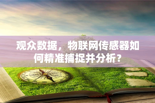 观众数据，物联网传感器如何精准捕捉并分析？
