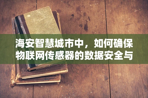 海安智慧城市中，如何确保物联网传感器的数据安全与隐私保护？