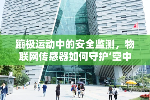 蹦极运动中的安全监测，物联网传感器如何守护‘空中飞人’？