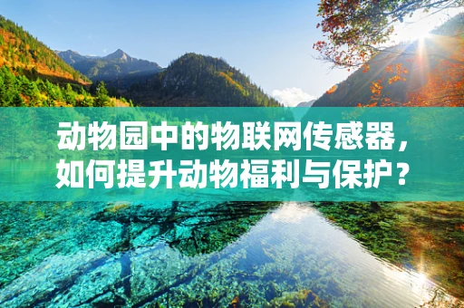 动物园中的物联网传感器，如何提升动物福利与保护？