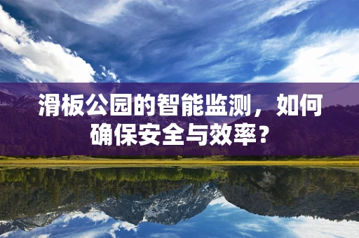 滑板公园的智能监测，如何确保安全与效率？