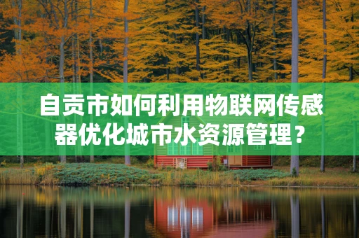 自贡市如何利用物联网传感器优化城市水资源管理？