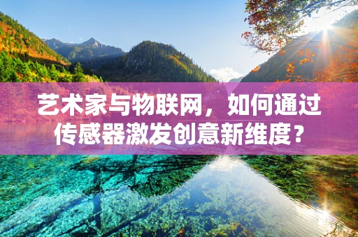 艺术家与物联网，如何通过传感器激发创意新维度？