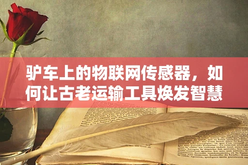 驴车上的物联网传感器，如何让古老运输工具焕发智慧新颜？