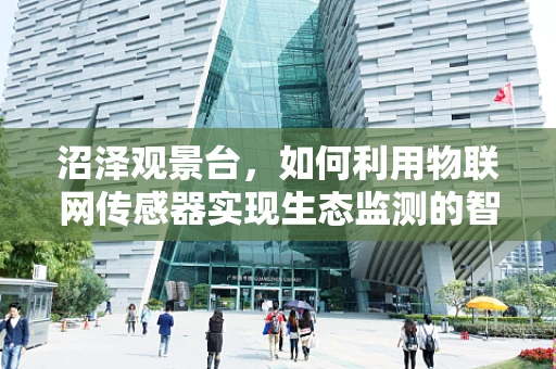 沼泽观景台，如何利用物联网传感器实现生态监测的智能化？