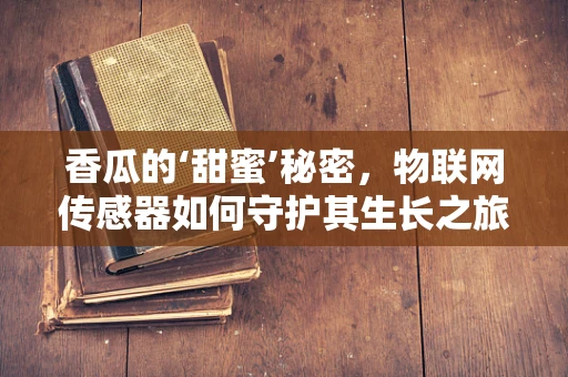 香瓜的‘甜蜜’秘密，物联网传感器如何守护其生长之旅？
