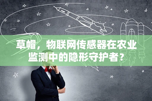 草帽，物联网传感器在农业监测中的隐形守护者？