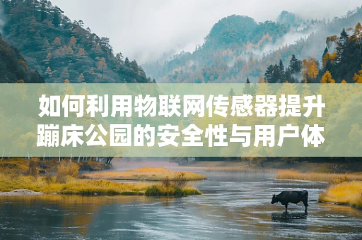如何利用物联网传感器提升蹦床公园的安全性与用户体验？