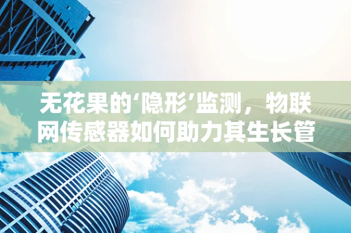 无花果的‘隐形’监测，物联网传感器如何助力其生长管理？