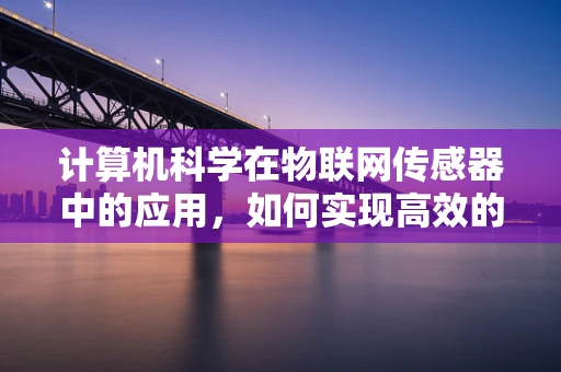 计算机科学在物联网传感器中的应用，如何实现高效的数据处理与传输？