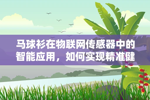 马球衫在物联网传感器中的智能应用，如何实现精准健康监测？